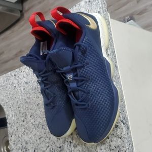 Lebron 14 Low USA